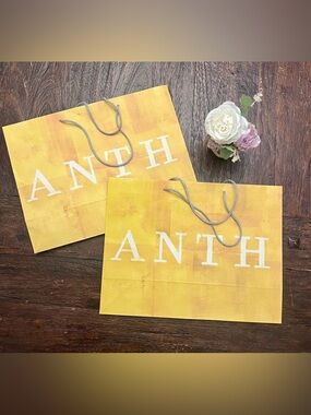 Anthropologie Large Gift Bags Bundle of 2
